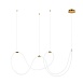 Подвесной светильник Arte Lamp KLIMT A2850SP-80PB - фото
