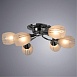 Потолочная люстра ARTE LAMP A2701PL-6CC - фото