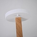 Потолочный Светильник Turna L12 White Imperiumloft 228851-26 - фото