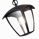 Светильник уличный подвесной ST-Luce Черный/Черный, Прозрачный E27 1*40W SL081.403.01 - фото