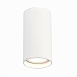 Светильник потолочный Белый LED 1*15W 3000K 1 200Lm Ra>90 60° IP44 D75xH140 220-265V ST157.532.15 - фото