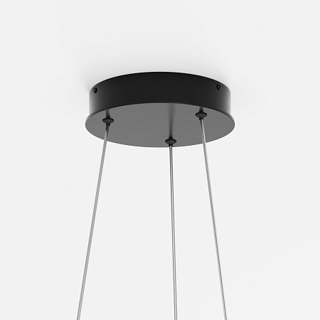 Подвесной светильник Maytoni Rim MOD058PL-L54BK - фото