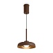 Подвесной светильник Freya FR5602PL-L5BR - фото