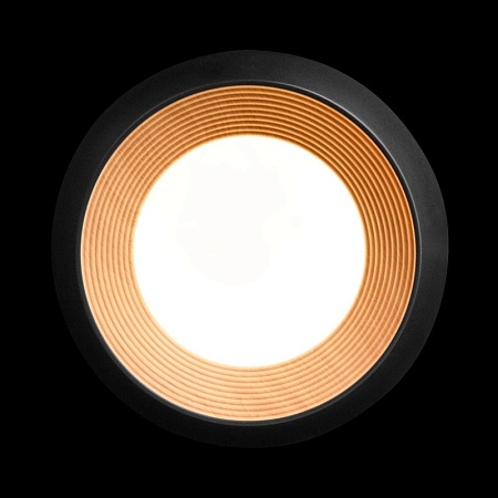 10255/350 Black Потолочный светильник LOFT IT Folk - фото