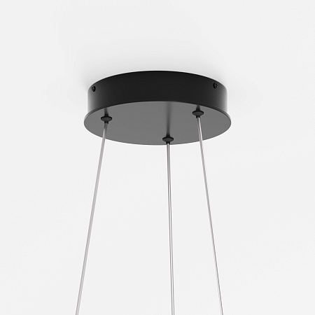 Подвесной светильник Maytoni Rim MOD058PL-L65BK - фото