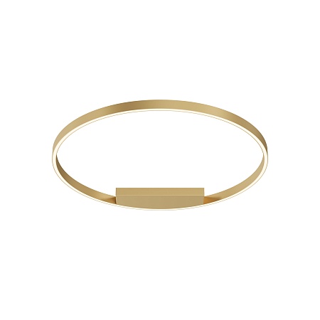 Потолочный светильник Maytoni Rim MOD058CL-L50BSK - фото