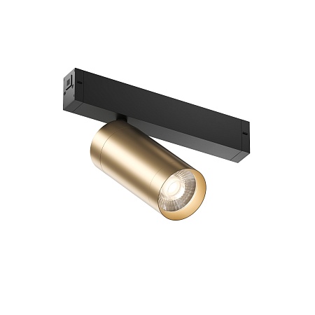 Светильник на шине Denkirs SMART SPOT DK8020-BG - фото