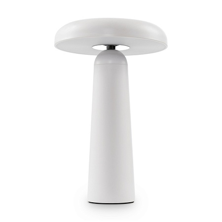 Аккумуляторный светильник Freya FR6109TL-L4W - фото