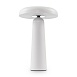 Аккумуляторный светильник Freya FR6109TL-L4W - фото