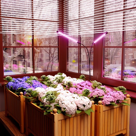 Светильник для растений на прищепке 16 Вт FT-005 чёрный Elektrostandard - фото