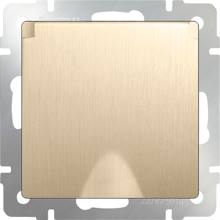 Розетка влагозащ. с зазем. с защит. крышкой и шторками шампань рифленый WL10-SKGSC-01-IP44 - фото