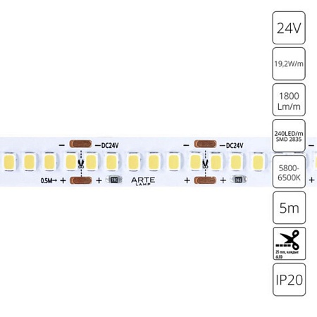 Светодиодная лента 24V 19,2W/m 6000К 5м Arte Lamp TAPE A2424010-03-6K - фото