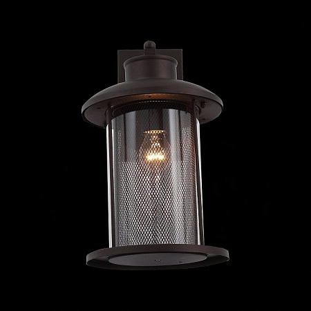 Светильник уличный настенный ST-Luce Темный кофе/Прозрачный, Темный кофе E27 1*60W SL080.401.01 - фото