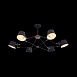 Люстра Maytoni Abigail MOD134PL-06B - фото