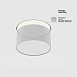 Потолочный светильник Technical Zon C032CL-12W4K-RD-MG - фото