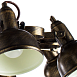 Потолочная люстра Arte Lamp MARTIN A5216PL-8BR - фото