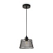 Подвесной светильник Freya FR4024PL-01B - фото