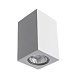 Точечный накладной светильник Arte Lamp TUBO A9264PL-1WH - фото