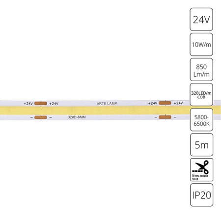 Светодиодная лента 24V 10W/m 6000К 5м Arte Lamp LANE A2432008-03-6K - фото
