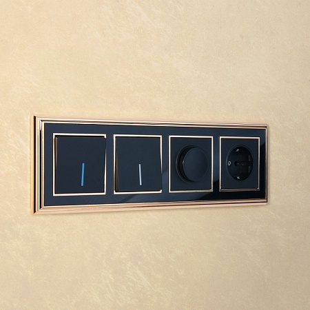 Рамка на 4 поста (золото/черный) W0041330 - фото