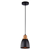 Подвесной светильник Arte Lamp EURICA A4248SP-1BK