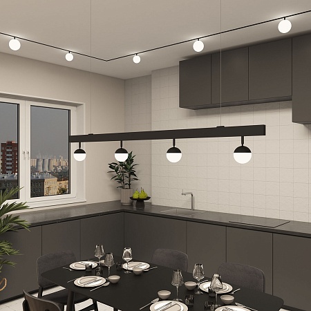 Светильник на шине Denkirs SMART MOON DK8050-BK - фото