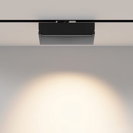 Трековый светильник Technical TR224-1-12WCCT-M-B - фото