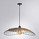 Подвесной светильник Arte Lamp WOODSTOCK A7061SP-1BK - фото