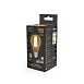 Светодиодная филаментная лампа Gauss FILAMENT A70 30W 3000Lm 2700K E27 102902130 - фото