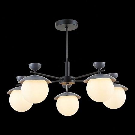 Светильник потолочный Черный, Серый/Белый G9 5*5W SLE220202-05 - фото