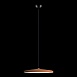 10119 Orange Подвесной светильник LOFT IT Plato - фото
