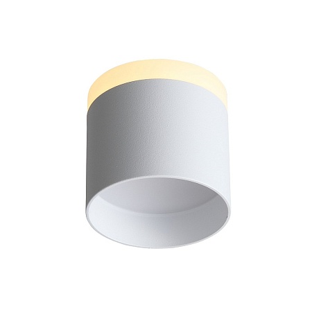 Светильник потолочный Белый LED 1*12W 3000K 936Lm Ra>80 120° IP20 D100xH90 170-240V ST102.502.12 - фото