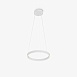 Подвесной светильник Maytoni Rim MOD058PL-L22WK - фото