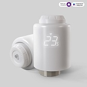 Умный терморегулятор отопления 76265/00 Elektrostandard