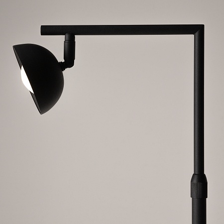 Напольный светильник (торшер) Maytoni Pikant MOD372FL-L10B3K - фото