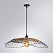 Подвесной светильник Arte Lamp WOODSTOCK A7061SP-1BK - фото