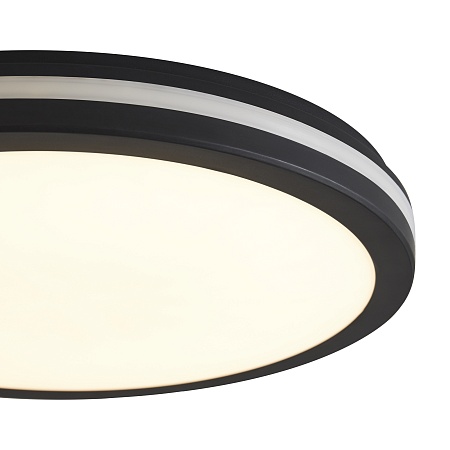 Потолочный светильник Freya FR6160CL-L40B - фото
