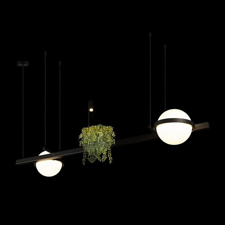 10121/D Подвесной светильник LOFT IT Jardin - фото