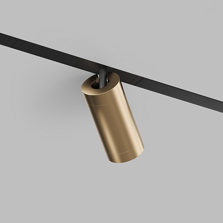 Светильник на шине Denkirs SMART SPOT DK8020-BG - фото