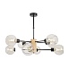 Люстра Freya FR5055PL-08B - фото