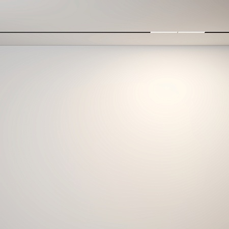 Трековый светильник Technical Parete TR106-2-12W3K-B - фото