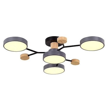 Светильник потолочный Серый/Серый LED 4*12W 3000K/4500K/6000K SLE6006-702-04 - фото
