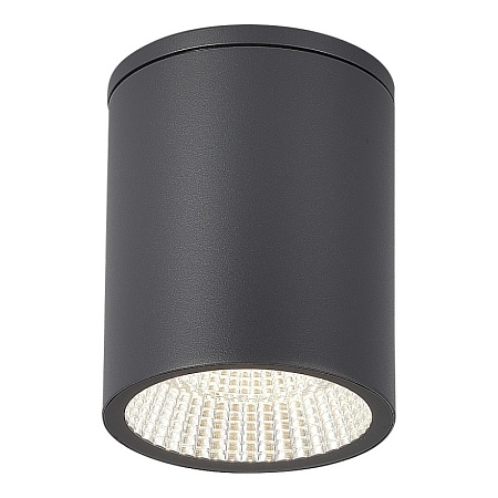 Светильник уличный потолочный ST-Luce серый/белый LED 1*12W 3000K/4000K/6500K SL9514.712.01 - фото