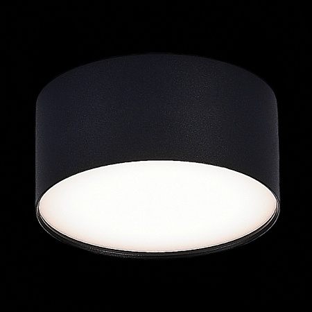 Светильник потолочный Черный LED 1*12W 4000K 1 080Lm Ra>90 120° IP20 D120xH55 185-265V ST606.442.12 - фото
