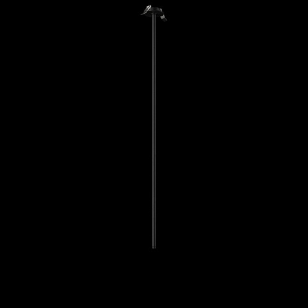 10359/1000 Black Потолочный светильник LOFT IT Cane - фото