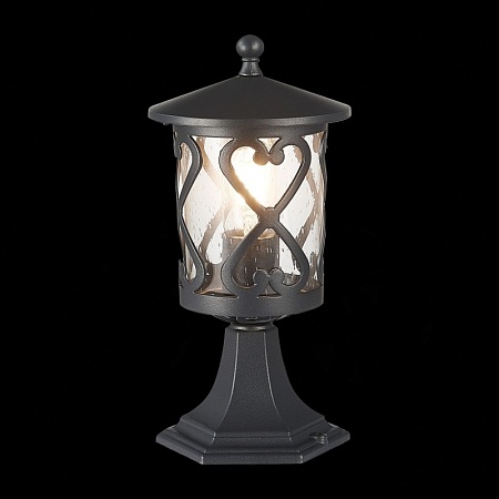 Светильник уличный наземный ST-Luce Черный/Черный, Прозрачный E27 1*60W SL085.405.01 - фото