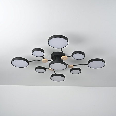 Потолочная Люстра Gamma D98 Black Imperiumloft 223769-23 - фото