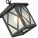 Светильник уличный подвесной ST-Luce Черный/Черный, Прозрачный E27 1*60W SL084.403.01 - фото