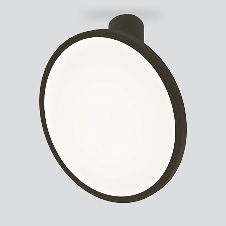 Накладной светодиодный светильник DLS029 Elektrostandard - фото