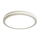 Потолочный светильник Freya FR6160CL-L40W